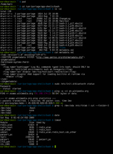 Pahempi kuin Heartbleed? Tutkijat löysivät uuden kriittisen aukon