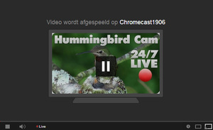 Nu ook priv- en live-video's Youtube met Chromecast