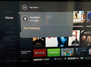 Amazon Fire TV to add Netflix to universal voice search later this year