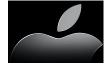 Apple orders 25 million 3G iPhones?