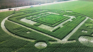 Giant crop circle actually a Nvidia CES stunt?