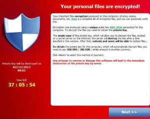 Police shut down more Cryptolocker servers, new infections drop