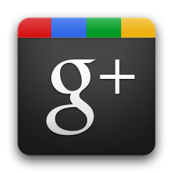 Interest in Google+ plummets after promising start