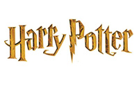 JK Rowling wins Harry Potter copyright case