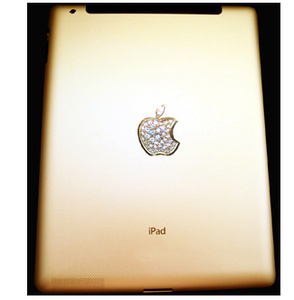 It's finally here, the $8.2 million iPad with dinosaur fossil