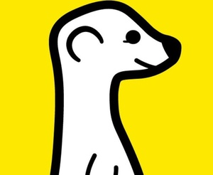 Meerkat beats Periscope to Android