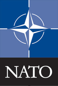 'Anonymous' releases NATO document