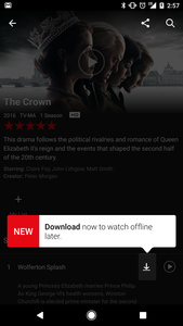 Netflix added offline viewing finally to PCs