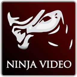 NinjaVideo admins plead guilty and face jailtime