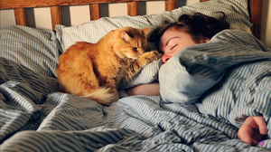 OpenAI shuts down its AI video service Sora