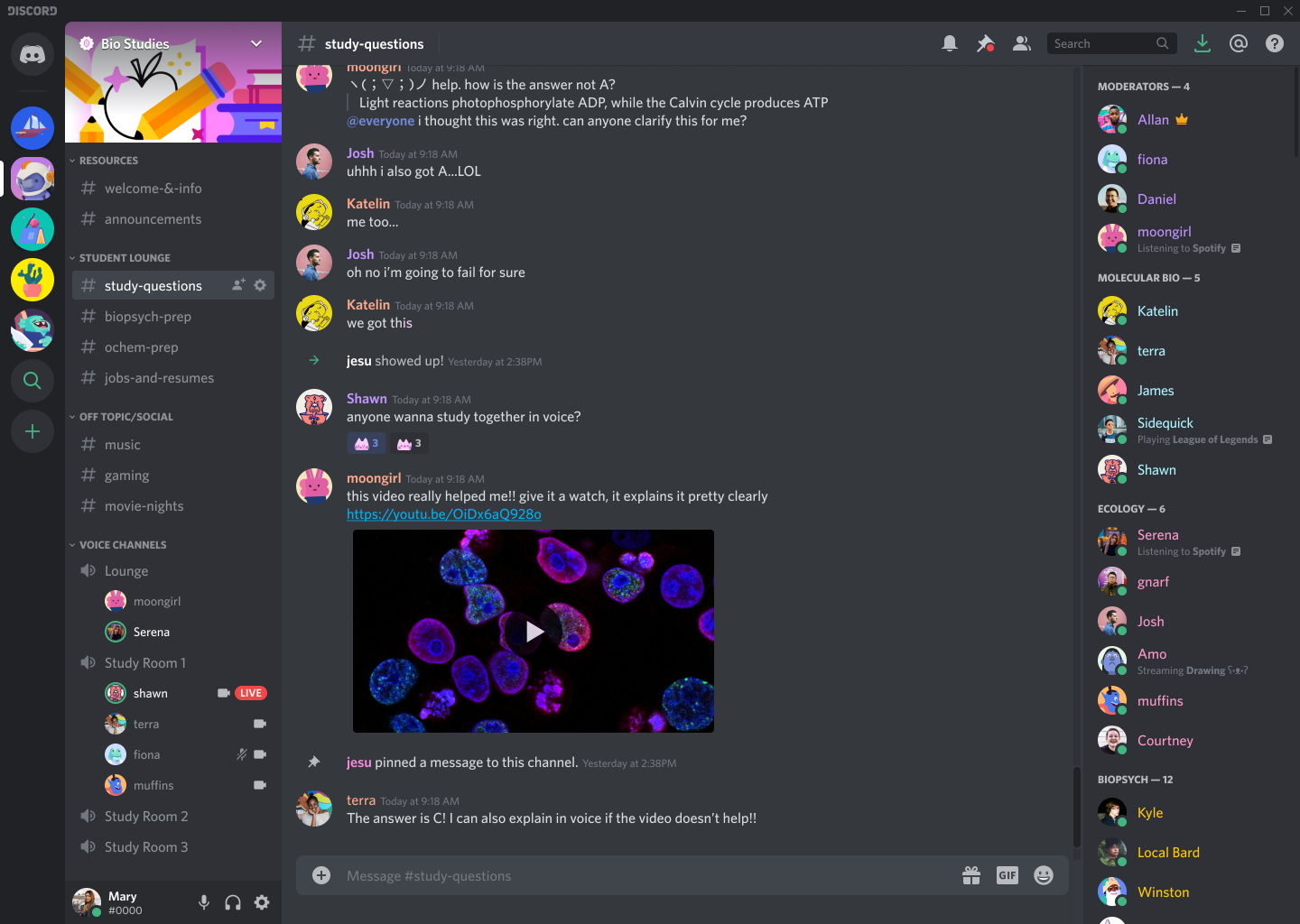 a good discord with an nsfw chat