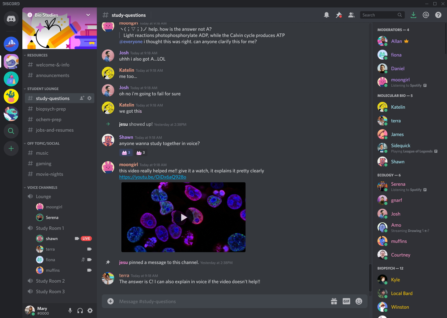 nsfw discord 2018