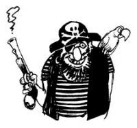 Pirate website shut down, 2,000 DVDs seized