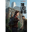E3 2012: Sony shows off incredible 'The Last of Us' gameplay footage