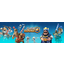 Laskettiinko Supercellin arvo väärin? Clash Royalen tuotot puolittuneet Laskettiinko Supercellin arvo väärin? Clash Royalen tuotot puolittuneet