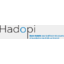 Is this the end of French anti-P2P agency Hadopi?