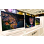 LG esittelee IFA-messuilla uusia 4K OLED -televisioita LG esittelee IFA-messuilla uusia 4K OLED -televisioita