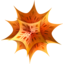 Mathematica-laskentaohjelmistosta julkaistiin pilviversio Mathematica-laskentaohjelmistosta julkaistiin pilviversio