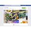 Facebook celebrates milestone birthday with new 'Look Back' feature