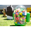 Samsung lupaa Jelly Bean -päivityksen Galaxy S II:lle ja Galaxy S III:lle loka-marraskuussa Samsung lupaa Jelly Bean -päivityksen Galaxy S II:lle ja Galaxy S III:lle loka-marraskuussa