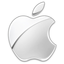 Apple loses bid to trademark term 'multi-touch'