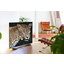 LG:ltä uusia 4K-televisioita Suomeen LG:ltä uusia 4K-televisioita Suomeen