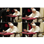 Pope Benedict XVI posts first Tweets