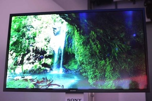 Sony denies it has halted OLED development