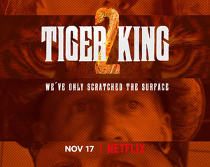 Marraskuun kaikki palaavat Netflix-sarjat: Viime vuoden sensaatio Tiger King saa jatkoa