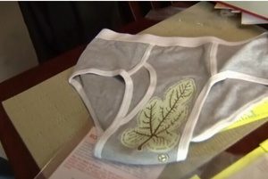 Afraid of the TSA body scanners? Try this new underwear