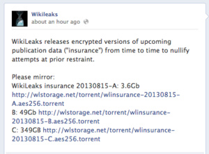 Wikileaks releases 400GB encrypted file as 'insurance'